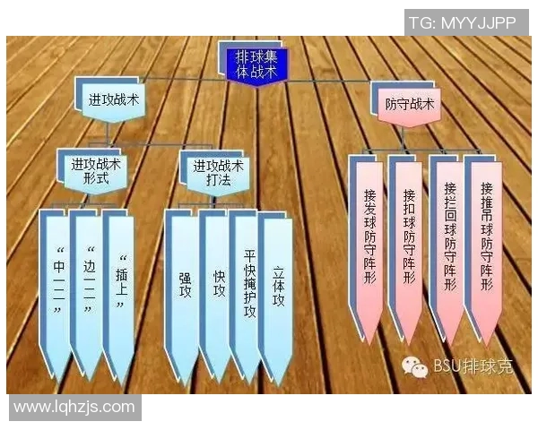 成都排球队节奏对比深度解析与战术探讨 成都排球队节奏对比深度解析与战术探讨